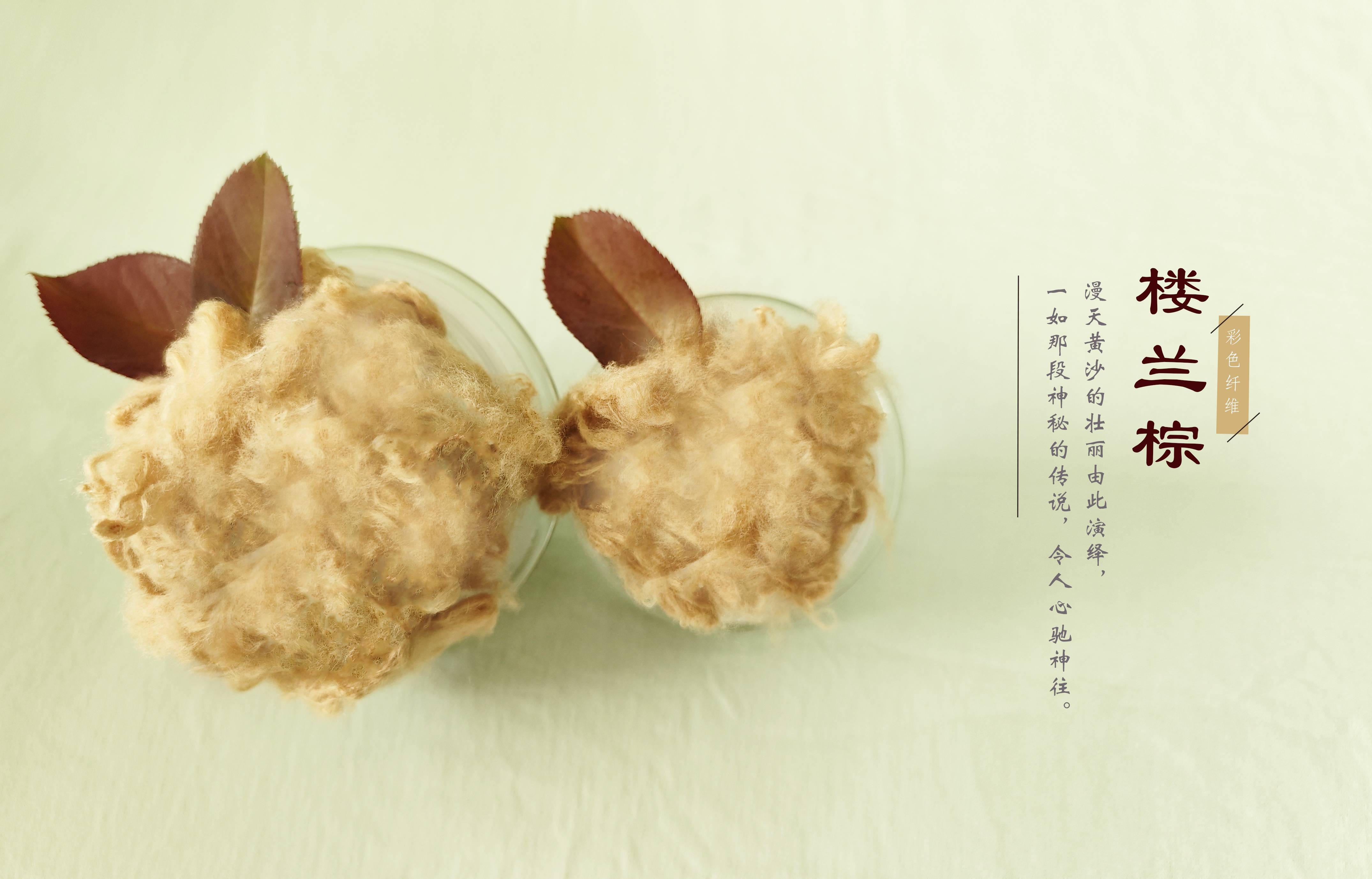 南宫NG28相信品牌的力量网址(中国游)官网