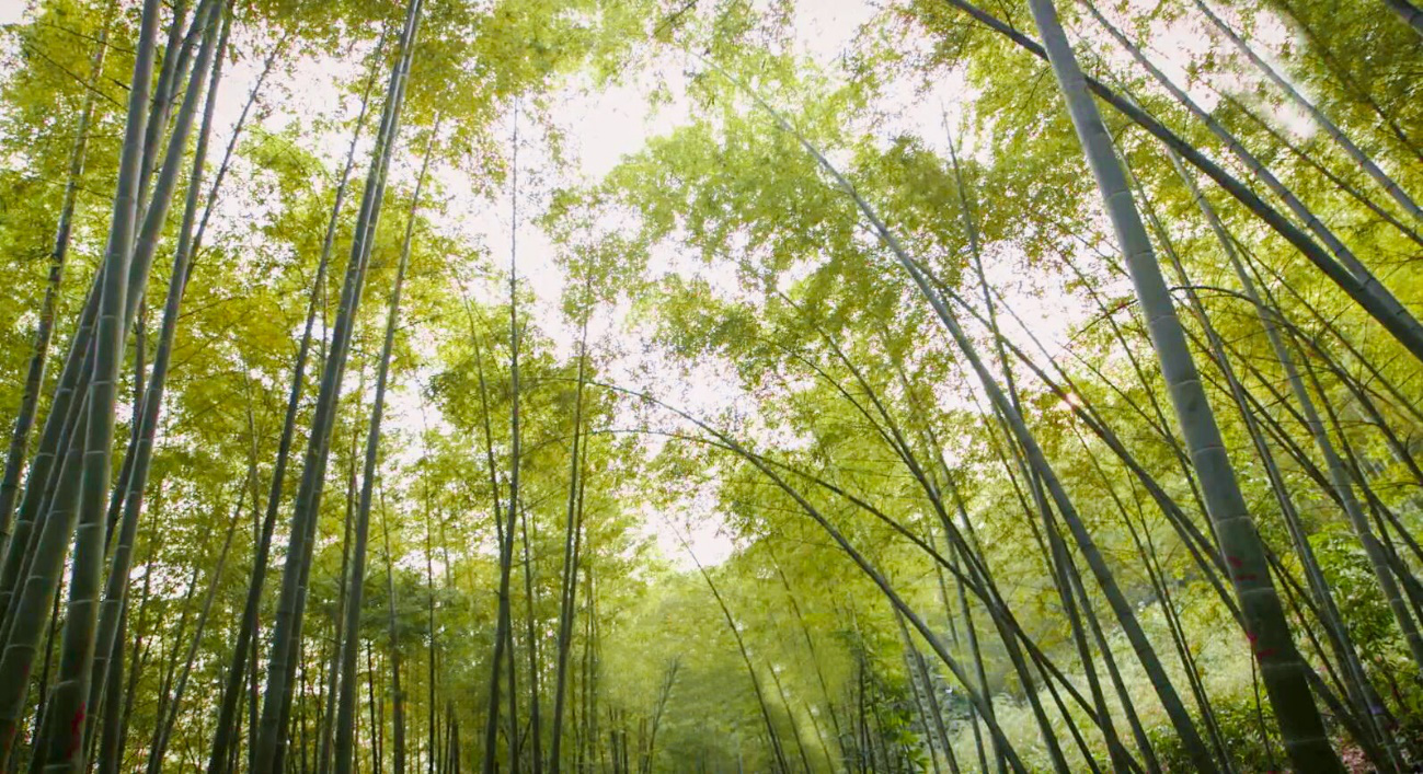 南宫NG28相信品牌的力量网址(中国游)官网