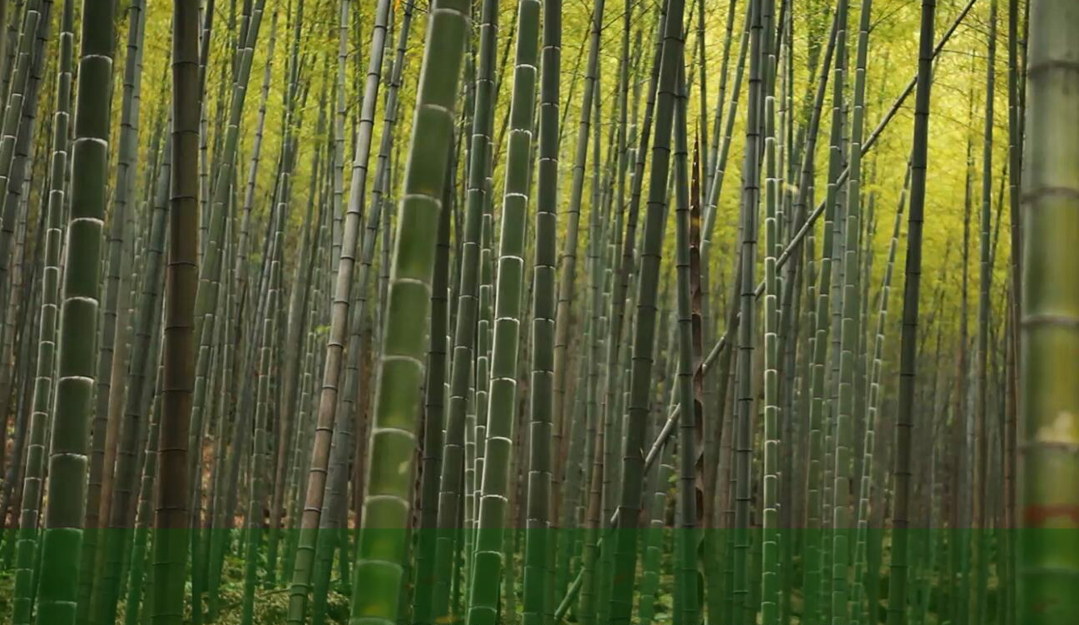 南宫NG28相信品牌的力量网址(中国游)官网